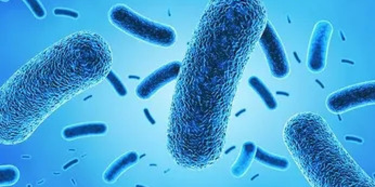 Antimicrobial Coatings Market Industry Statistics and Growth Trends Analysis Forecast 2024 - 2034