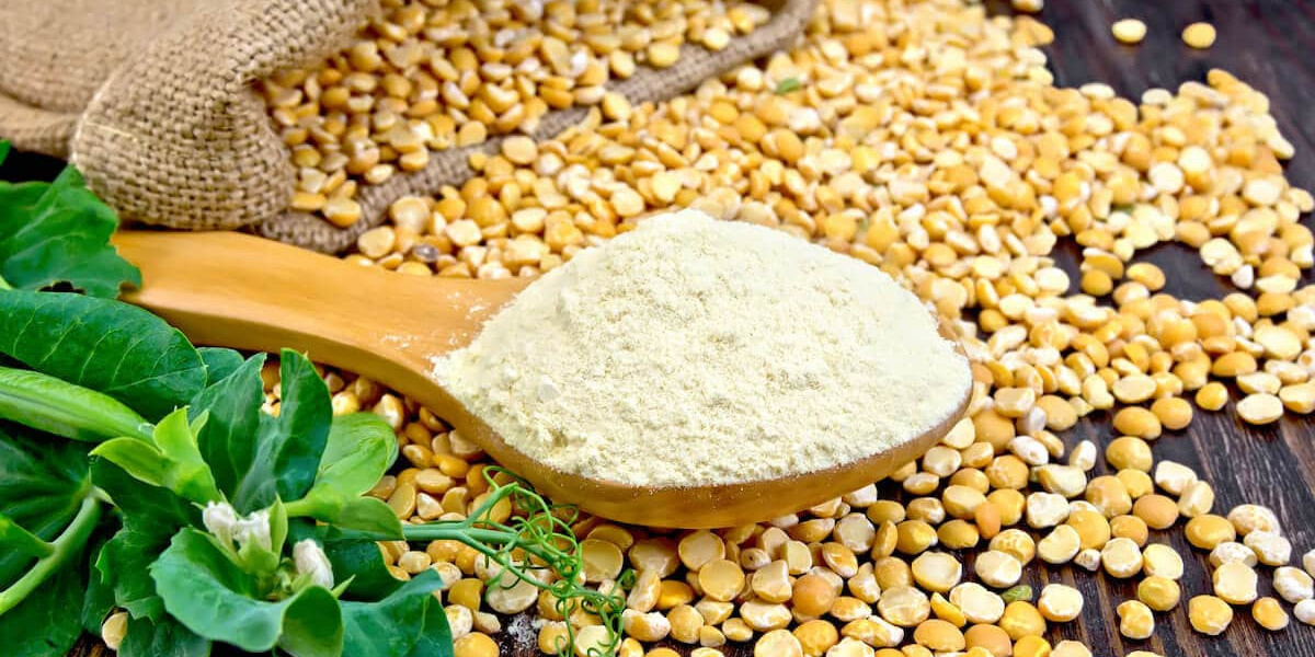 Pea Protein Powder Manufacturing Plant Report 2024: Comprehensive Business Plan, and Project Details