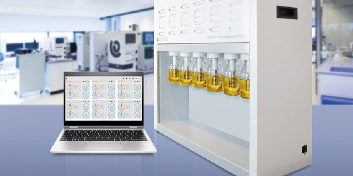 United Kingdom Fermentation Chemical Market Size, Share, Trend, Forecasts to 2033