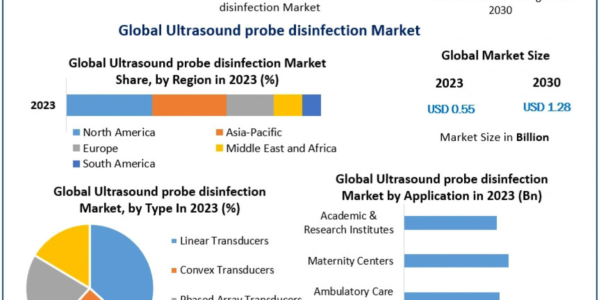 Ultrasound Probe Disinfection Market: North America Leading the Way in Healthcare Innovations