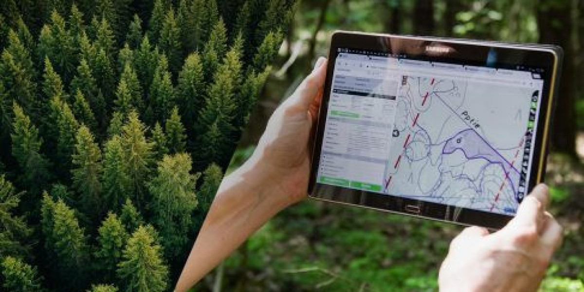 Forestry Software Market Industry Statistics and Growth Trends Analysis Forecast 2023 - 2033