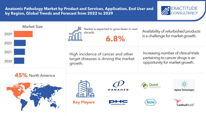 Anatomic Pathology Market Size, Share, Trends & Forecast 2029