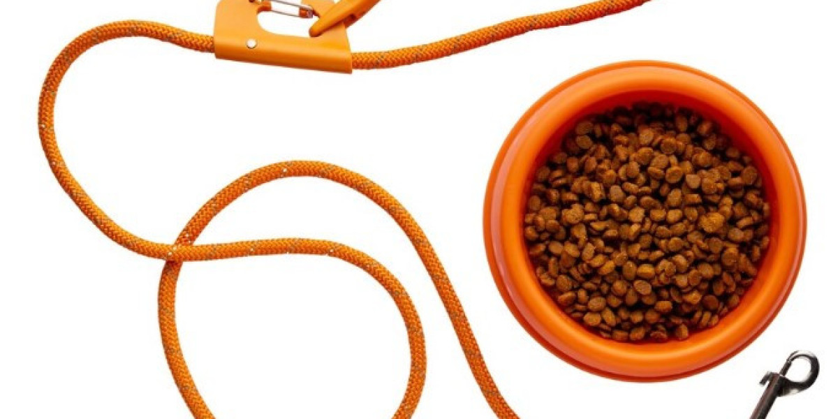 Choosing the Right Harness for Pets and Cat Harness: Ensuring Safety and Comfort for Your Furry Friends