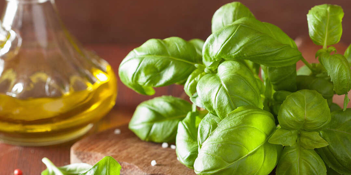 Unlock the Control of Basil Aroma: Benefits, Employments, and More