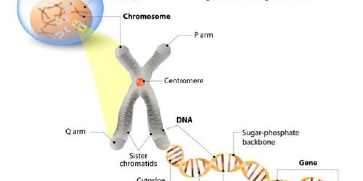 Leber Congenital Amaurosis Market Trends Analysis, Growth, Report 2024-34