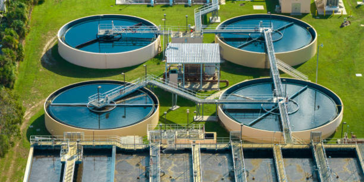 North America Water and Wastewater Treatment Chemicals Market Investment Opportunities: Where to Focus in the Coming Dec