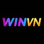 winvnvnco Profile Picture