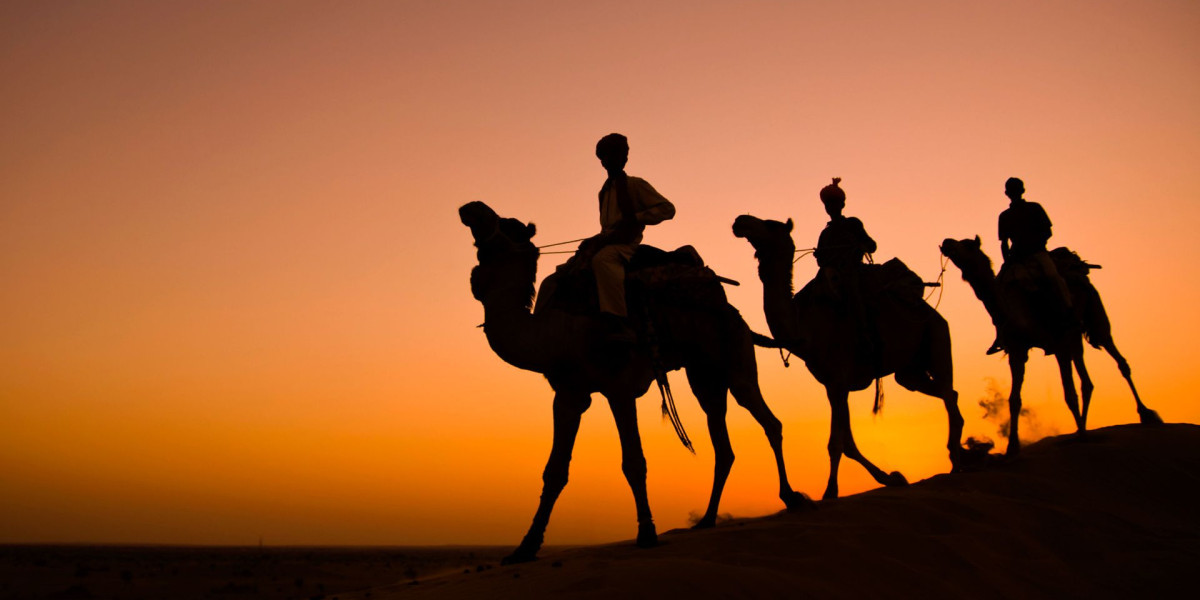 Your Ultimate Guide to Choosing the Best Travel Agency in Jaipur – RK Tours Jaipur