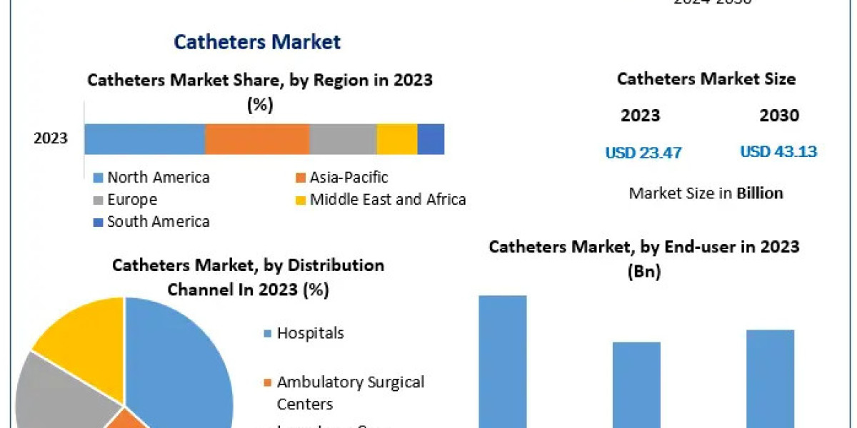 Catheters Market Forecast: Driving Demand and Revenue Growth by 2030