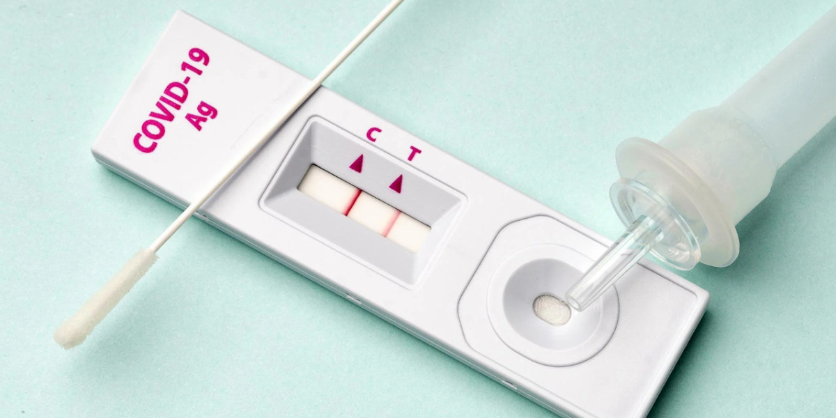 Ready-to-use Laboratory Test Kits Market Regional Insights and Growth Opportunities