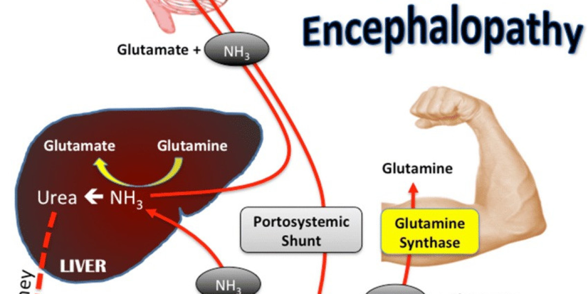 Hepatic Encephalopathy Market Size, Share, Trends, Industry Report 2024-34