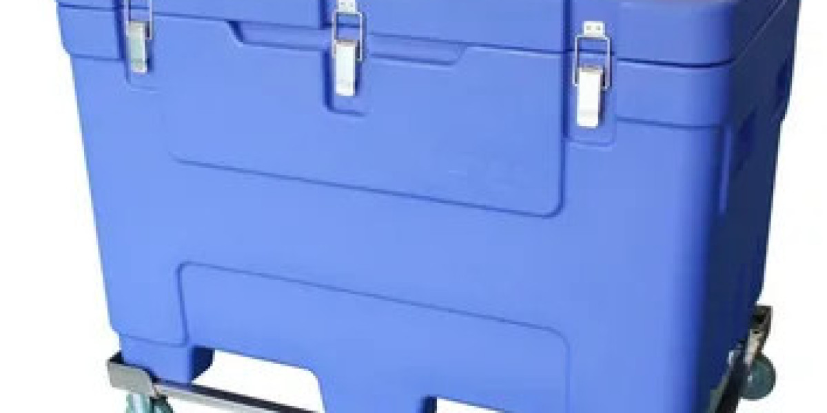 Ice Boxes Market Emerging Trends  The Impact of Outdoor Lifestyle on Product Development