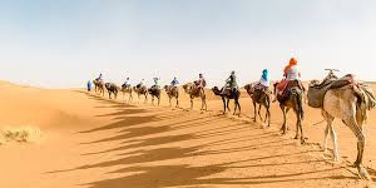 Exploring the Wonders of Sahara Trips