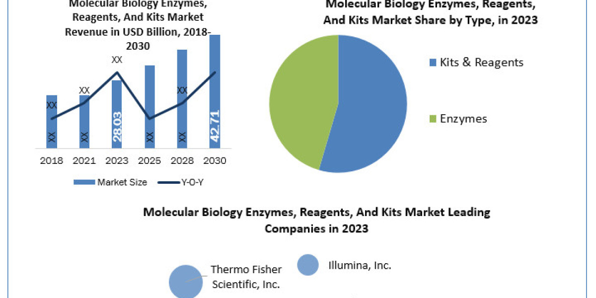 Molecular Biology Enzymes, Reagents, and Kits Industry Size, Unveiling Growth Potential and Forecasted Outlook for 2024-