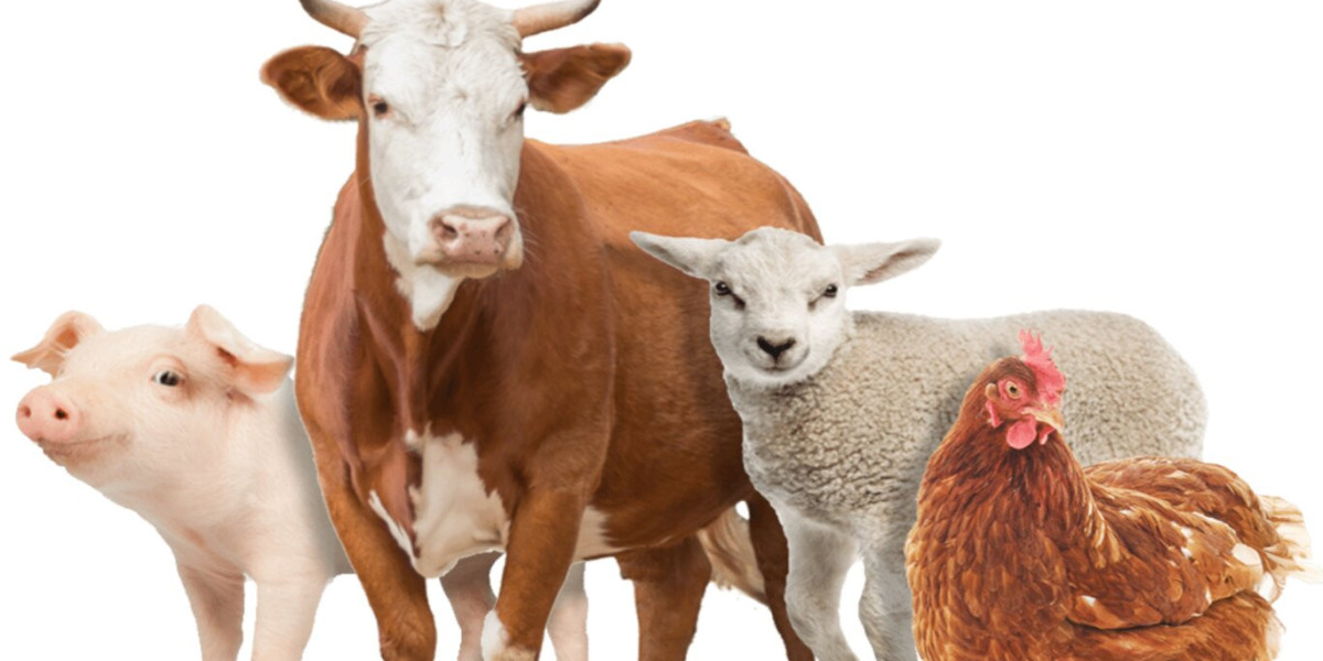 Animal Nutrition Market: Addressing Key Barriers to Industry Advancement