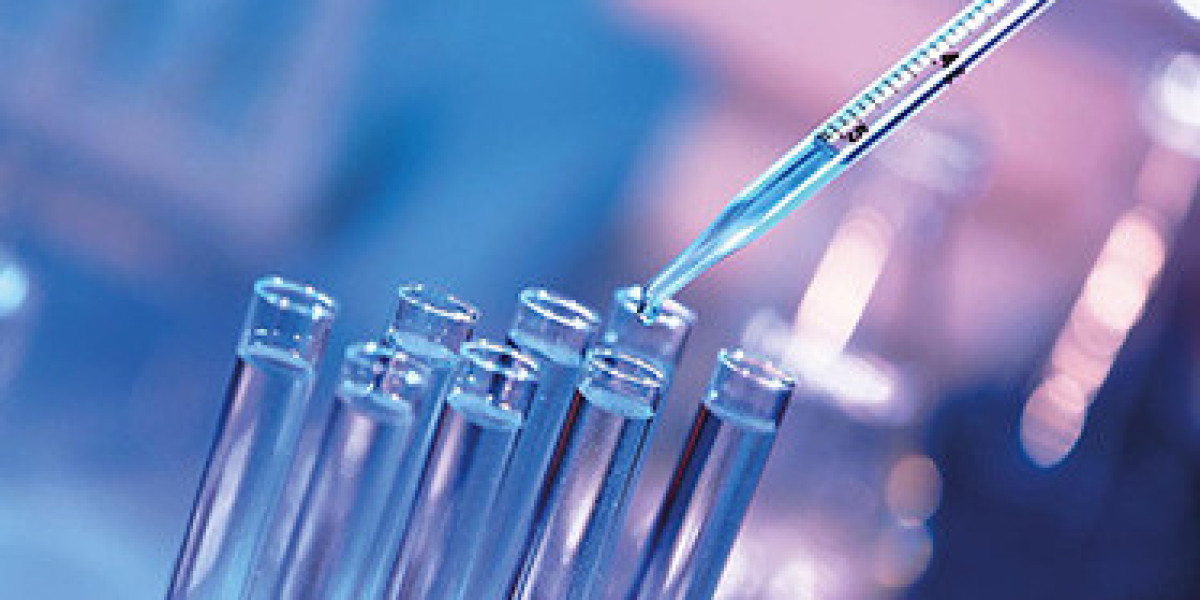 Understanding Xylanase: A Key Player in Biomass Degradation and Industrial Applications   