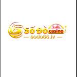 Sodo66 casino Profile Picture