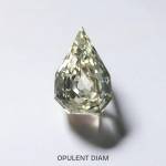 opulent diamond Profile Picture