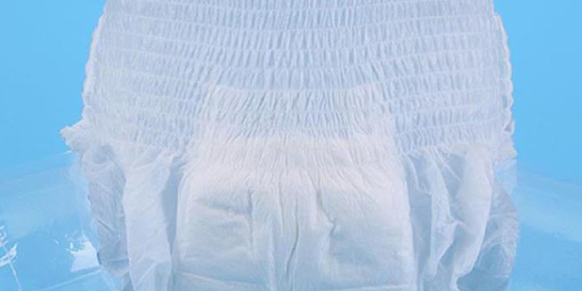 Adult Diaper Market: Competitive Analysis, Future Outlook, and Emerging Market Shifts