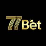 77Bet Casino Profile Picture