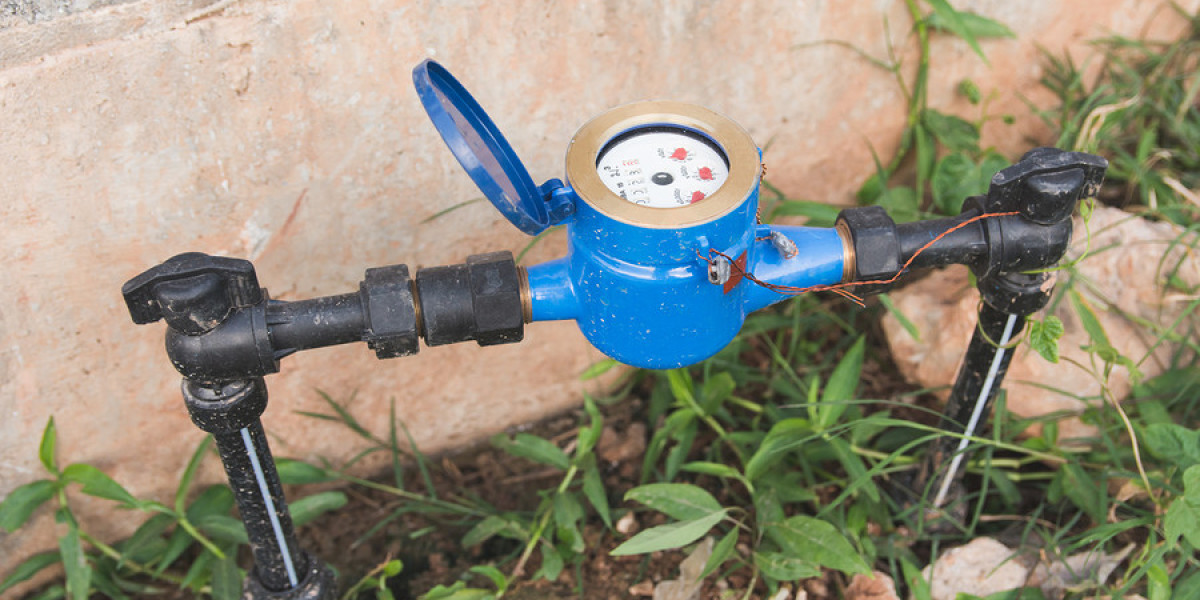 The United States Water Meter Market: Market Overview, Trends, Analysis, and Forecast (2025-2033)