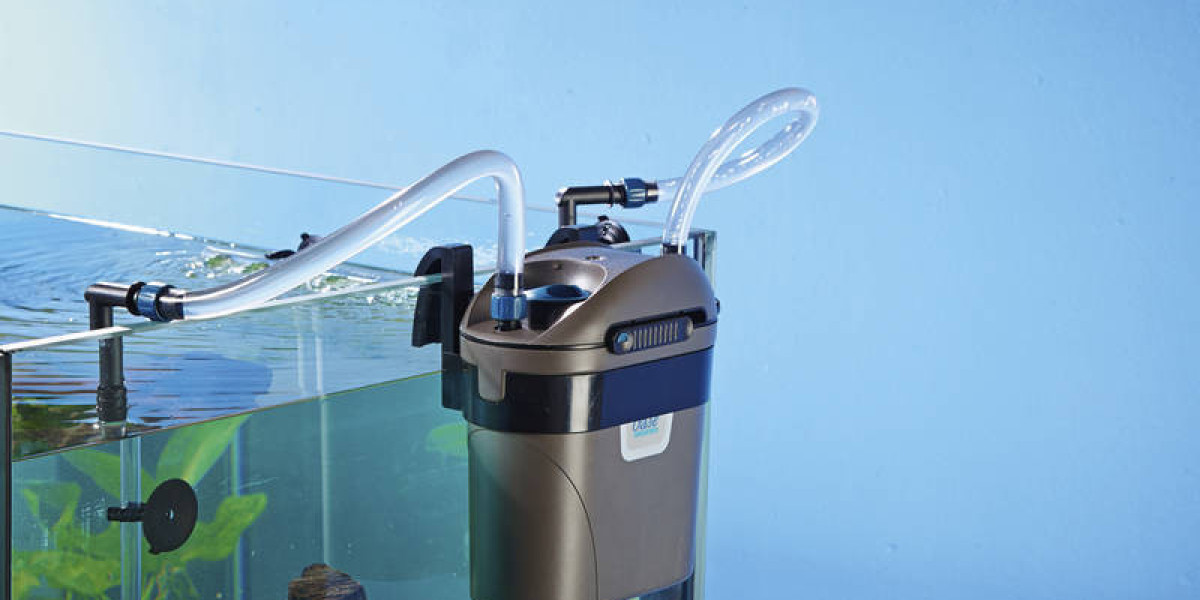 Aquarium Water Treatment Market Opportunities: Exploring Trends in Demand for Effective Water Solutions Globally