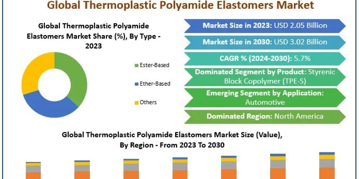Thermoplastic Polyamide Elastomers Market Insights for Strategic Planning to 2030