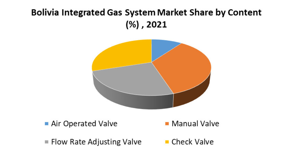 Bolivia Integrated Gas System Market Worth the Numbers: Size, Share, Revenue, and Statistics Overview 2029