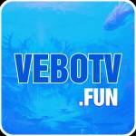 VEBOTV Profile Picture