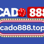 Cado888 Nhà Cái Profile Picture