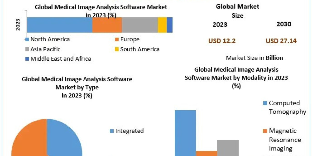 Medical Image Analysis Software Market Competitive Landscape by 2030