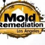 Mold Remediation Los Angeles Profile Picture