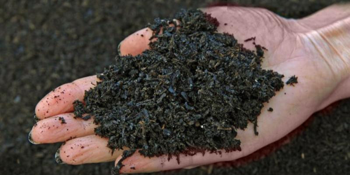 Biochar Market Analysis, Size, Share, Growth, Trends, and Forecasts by 2031