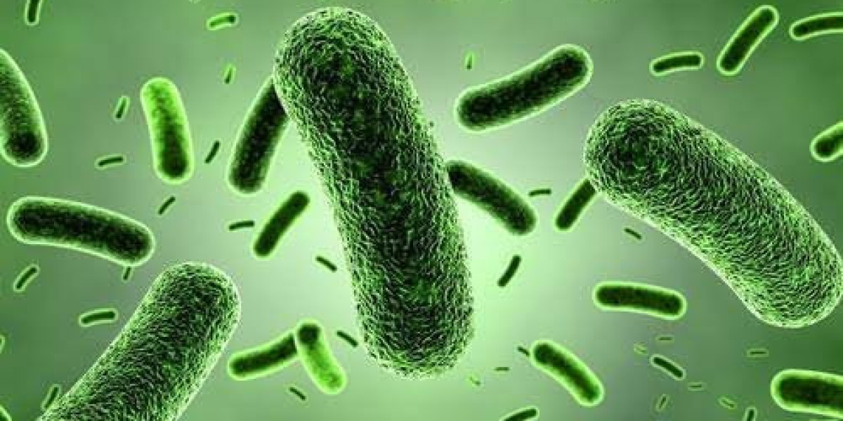 Bacillus Coagulans Market Future Trends and Growth Prospects