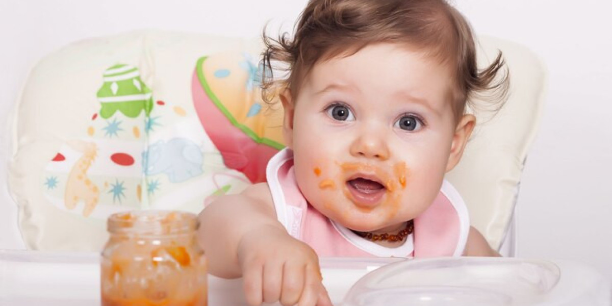 Exploring the Germany Baby Food Market: Size, Share, Growth, Key Insights and Growth Drivers