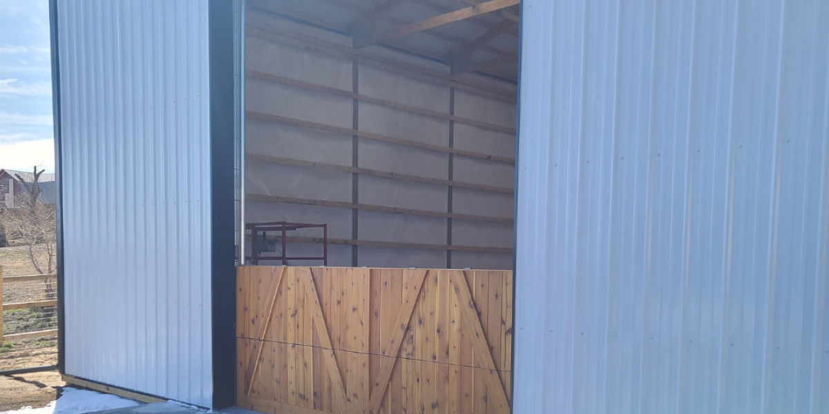 How do I test the safety reverse feature of my garage door?