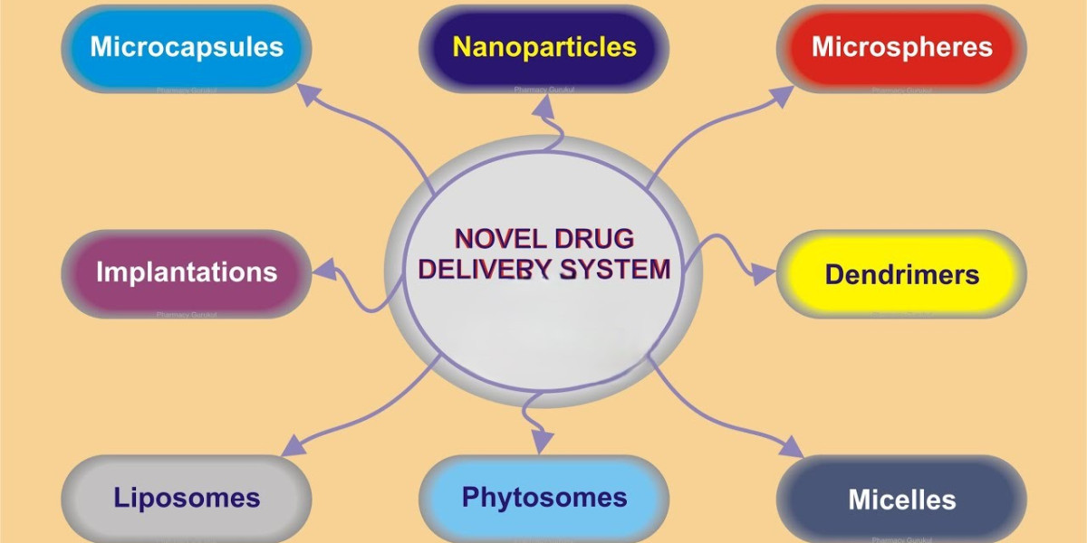 2024-2033 Outlook for Novel Drug Delivery Systems Market: Sustained Expansion with 20.5% CAGR