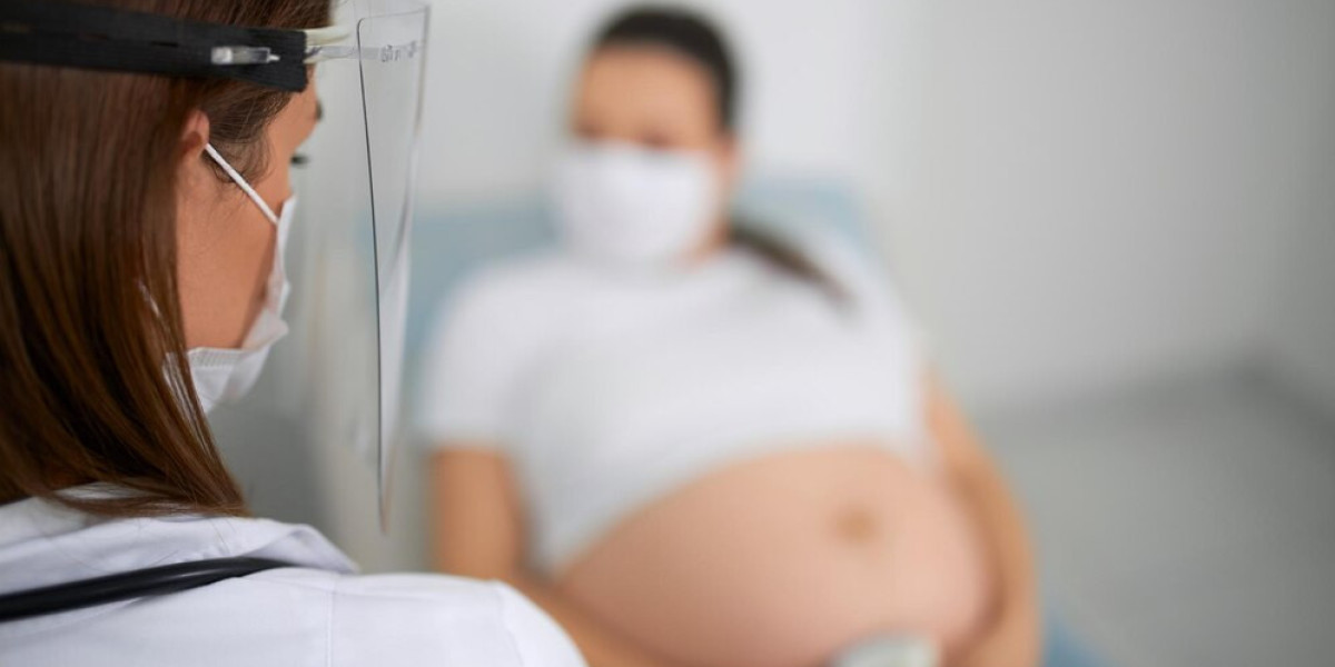 Fetal and Neonatal Heart Monitor Market Hindrance Overcoming Challenges for Growth