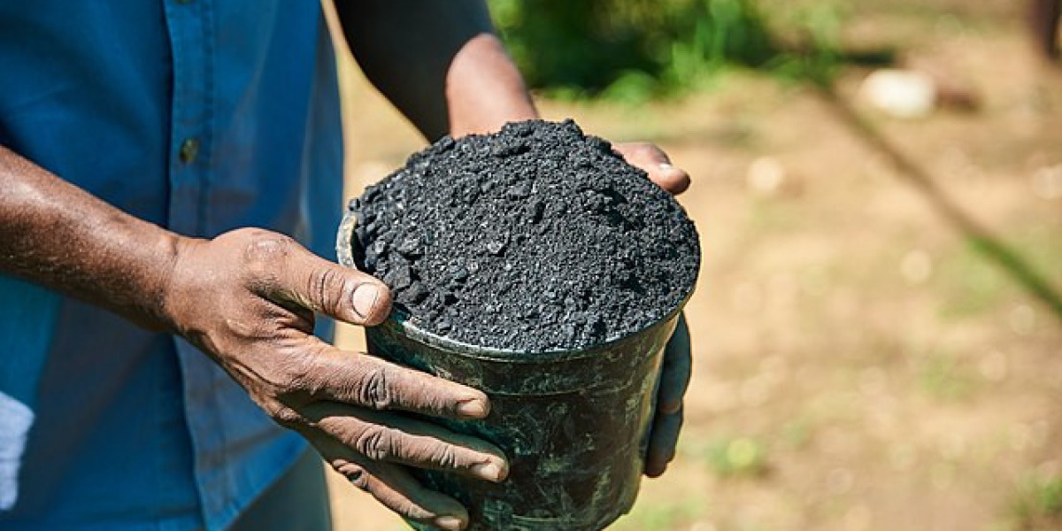 Biochar Market Hindrances That Restrain Sustainable Growth In Agricultural And Industrial Sectors