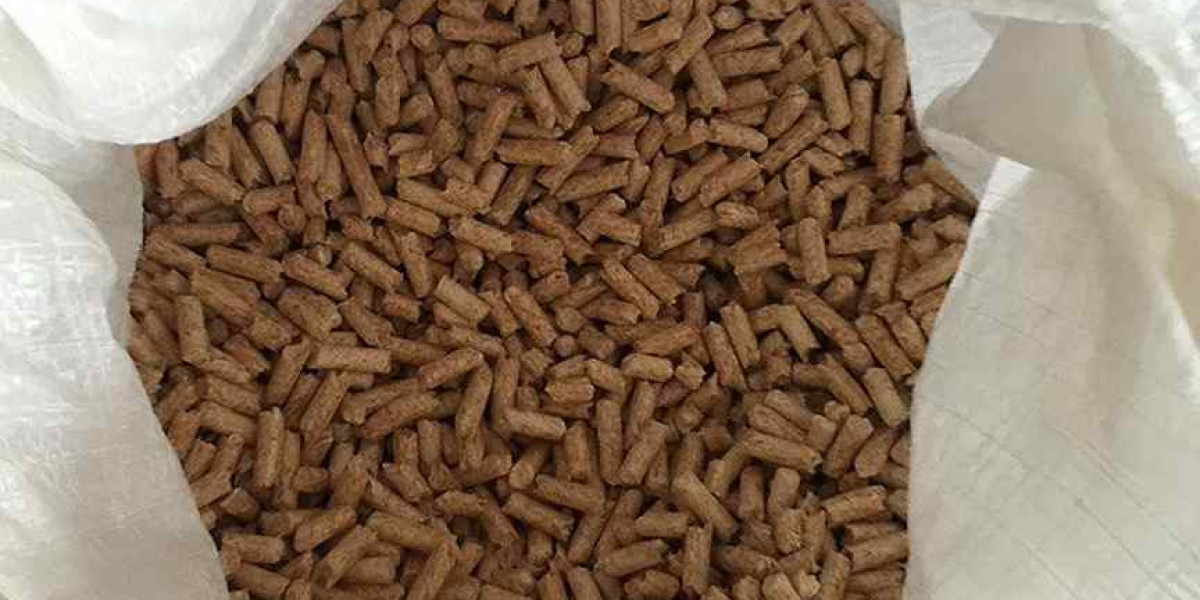 Animal Probiotics Market Future Trends Leading to Sustainable Animal Farming Practices