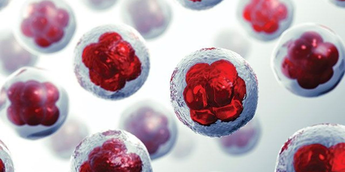 3D Cell Culture Market Analysis, Size, Share, Growth, Trends, and Forecasts by 2031