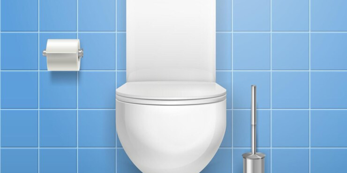 Toilet Seat Market Hurdles  Major Barriers Affecting Growth