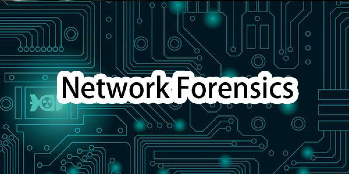 Network Forensics Market Growth: Trends, Key Drivers & Forecast 2024