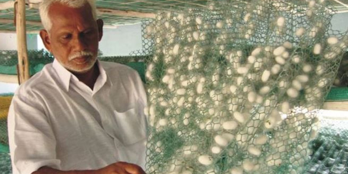 Sericulture Market Growth Analysis: Production, Demand, and Future Outlook