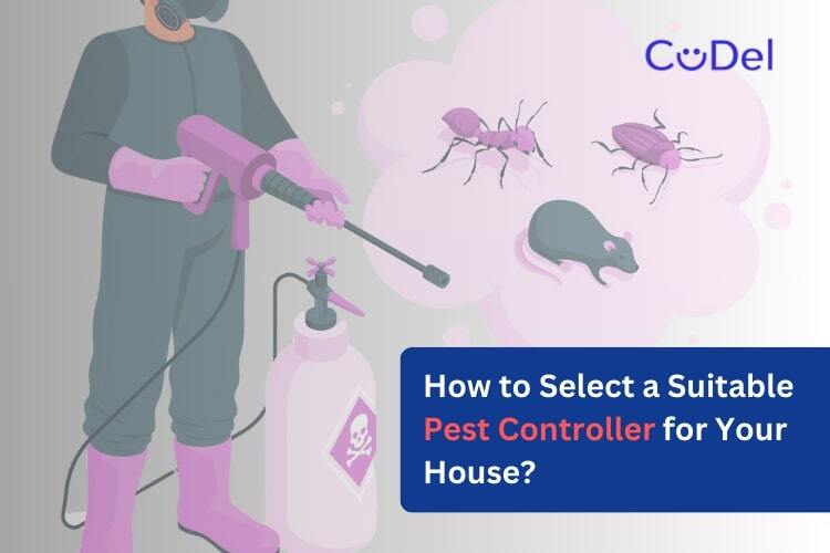 How to Select a Suitable Pest Controller for Your House? – CuDel