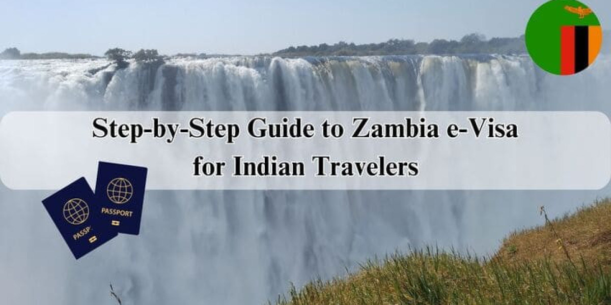 Step-by-Step Guide to Zambia e-Visa for Indian Travelers