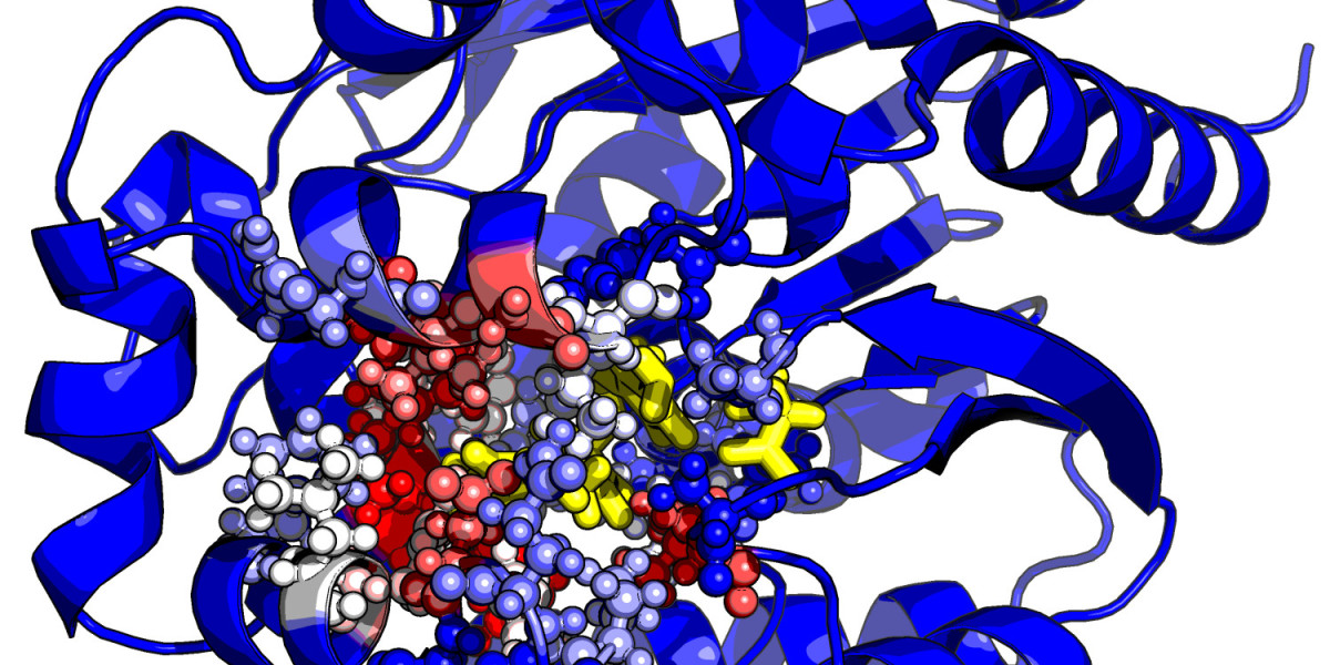Textile Enzymes Market Recent Developments: Innovations Shaping the Future of Textile Processing