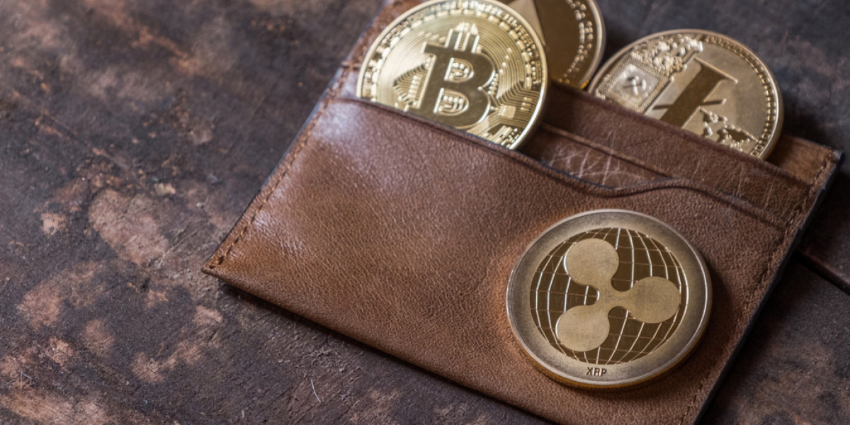 Crypto Wallet Market Forecast The Impact of Cryptocurrency Adoption on Wallet Solutions