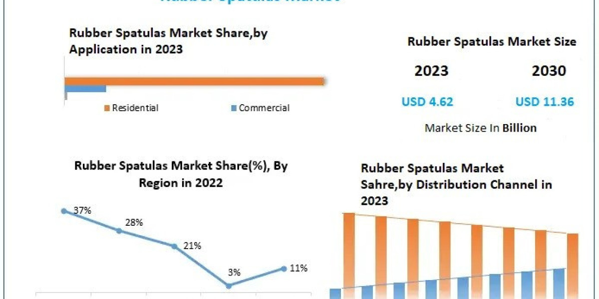 Rubber Spatulas Market Dynamics, Regional Insights and  Segment Analysis