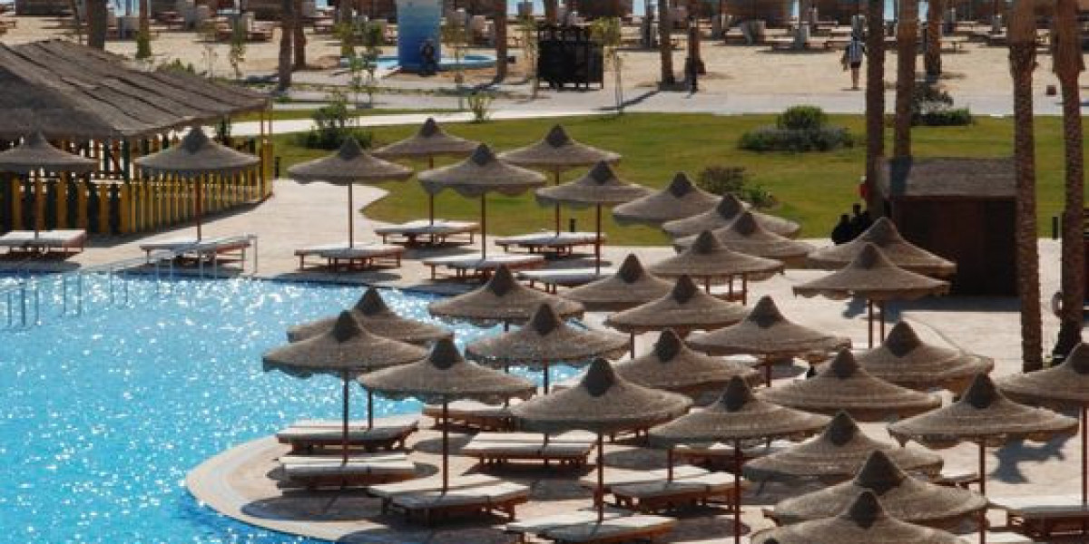 Red Sea Happy Tour Ausflug: Explore the Best of Egypt’s Red Sea Coast